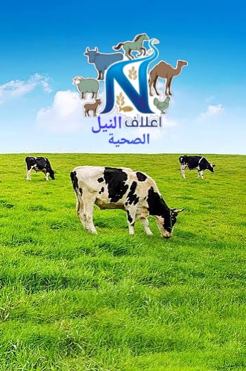 بادئ البياض الذهبي